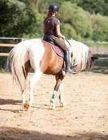 Ecurie du Moulin de Corbail